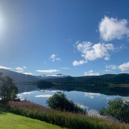 Aspnes Camping As Mosjøen Exterior foto